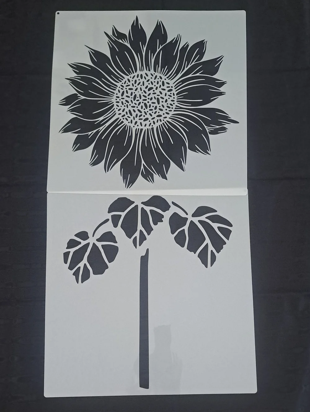 Hosomono drawing plants